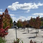 Anunciando a chegada do Outono, em Viseu - PT